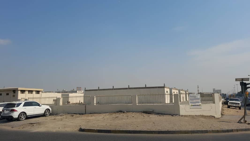 12 013. jpg