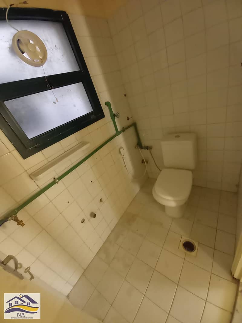 5 1000084064. jpg
