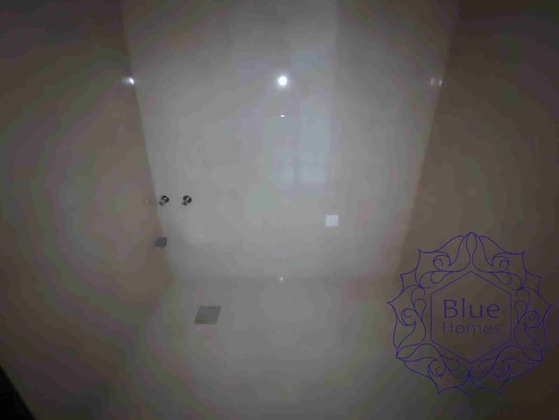 13 1000368995. jpg