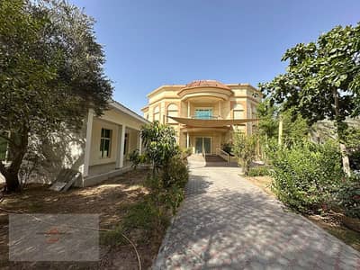 6 Bedroom Villa for Rent in Nad Al Sheba, Dubai - IMG_0605. jpeg