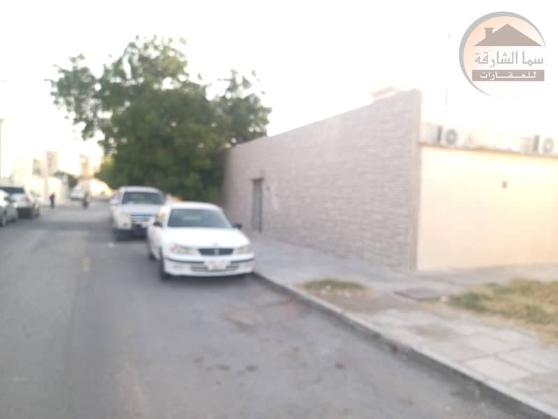 2 WhatsApp Image 2025-05-14 at 00.26. 35_f4790d0f. jpg