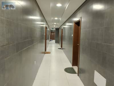 3 Cпальни Апартаменты в аренду в Аль Нахиль, Аджман - IMG-20250206-WA0131. jpg