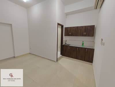 Studio for Rent in Mohammed Bin Zayed City, Abu Dhabi - IMG-20250430-WA0150. jpg