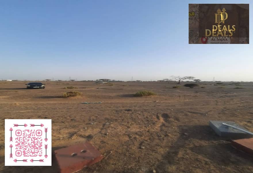 10 image (11). png