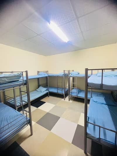 Labour Camp for Rent in Mussafah, Abu Dhabi - 1. jpeg
