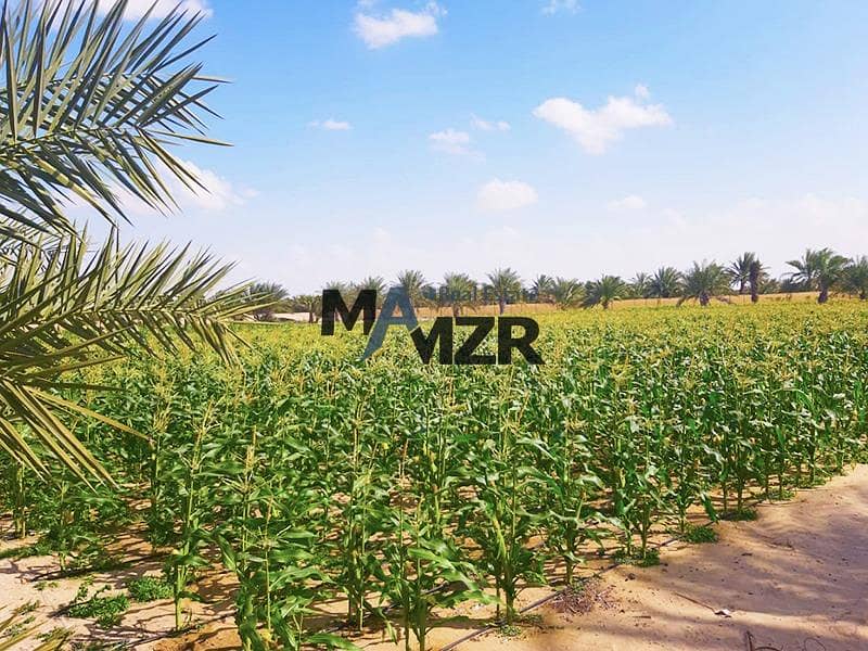 Farm for sale | Rented | Workers house | 2nd row