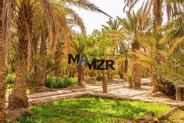 Special Farm| palm trees| House|300K sqft