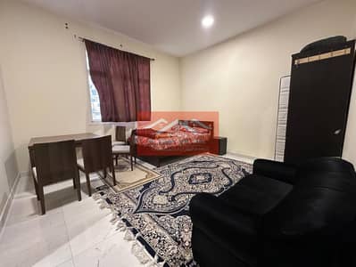 Studio for Rent in Mohammed Bin Zayed City, Abu Dhabi - IMG-20250513-WA0007. jpg