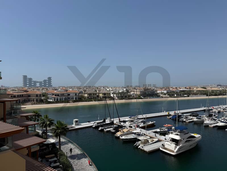 Квартира в Палм Джумейра,Палм Вьюс,Палм Вьюс Ист, 110000 AED - 11661365 Квартира в Палм Джумейра,Палм Вьюс,Палм Вьюс Ист, 110000 AED - 11661365