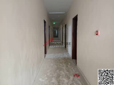 艾尔朱尔夫， 阿治曼 员工宿舍待租 - WhatsApp Image 2025-05-12 at 7.49. 27 PM. jpeg