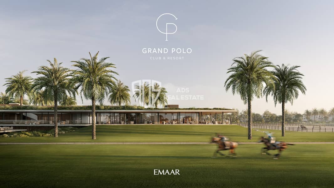 28 GRAND_POLO_IMAGE2. jpg