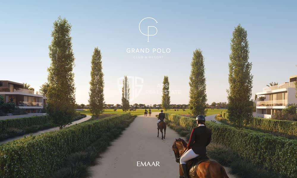 15 GRAND_POLO_IMAGE23. jpg