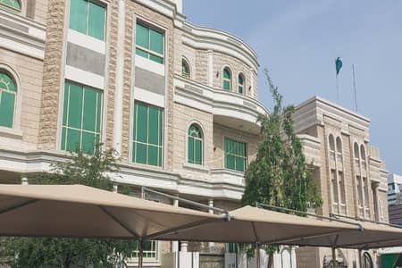 7 Bedroom Villa for Rent in Al Karamah, Abu Dhabi - IMG-20250214-WA0213. jpg