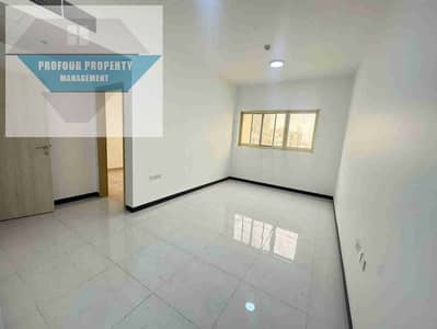 2 Bedroom Flat for Rent in Mohammed Bin Zayed City, Abu Dhabi - 1000204542. jpg