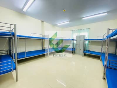 Labour Camp for Rent in Mussafah, Abu Dhabi - 2. jpeg