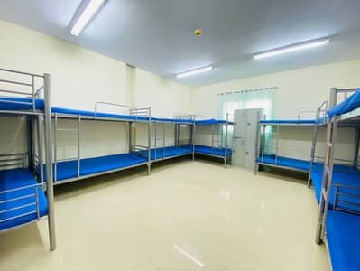 Labour Camp for Rent in Mussafah, Abu Dhabi - 2. jpeg