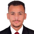 Zayed Sameh