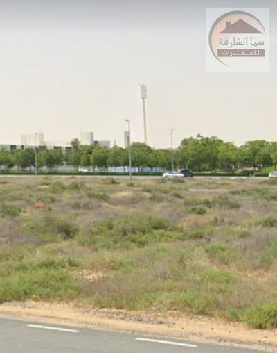 阿尔日琪巴赫， 夏尔迦 住宅地块待售 - WhatsApp Image 2025-05-15 at 00.31. 21_66cb7d4f. jpg