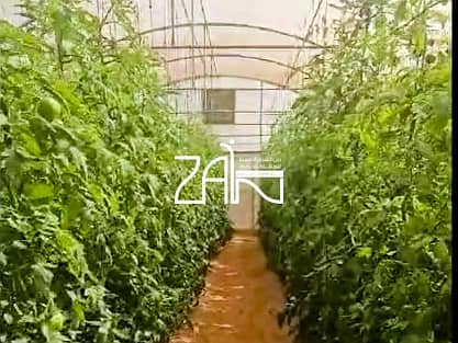 Участок в Аль Ватхба, 16000000 AED - 11070438 Участок в Аль Ватхба, 16000000 AED - 11070438