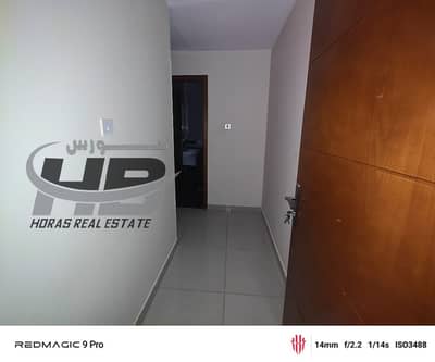 2 Bedroom Apartment for Rent in Al Rawda, Ajman - IMG-20250519-WA0043. jpg