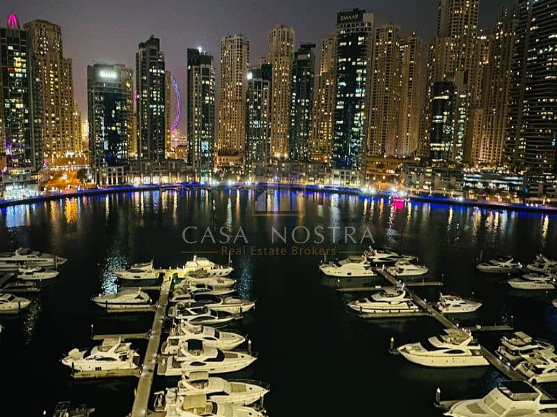 25 CompressJPEG. online_800x600_image - 2024-11-15T141248.881. png