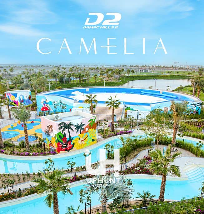 camelia view. jpg camelia view. jpg