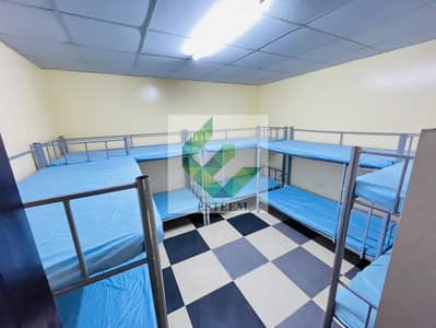 Labour Camp for Rent in Mussafah, Abu Dhabi - WhatsApp Image 2024-05-04 at 10.56. 53 AM (1). jpeg