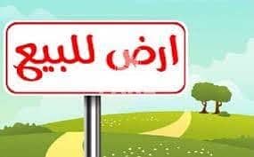 ارض سكنية  للبيع في حوشي، الشارقة - images. jpg