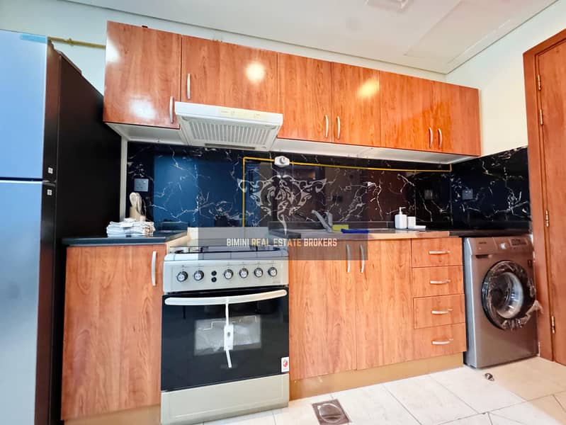 Upgraded|Fully Furnished Studio|Lake View|Parking Upgraded|Fully Furnished Studio|Lake View|Parking