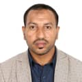 Diaaeldin Hussein