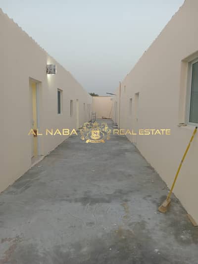 Studio for Rent in Al Qattara, Al Ain - WhatsApp Image 2025-05-20 at 8.20. 35 PM (1). jpeg