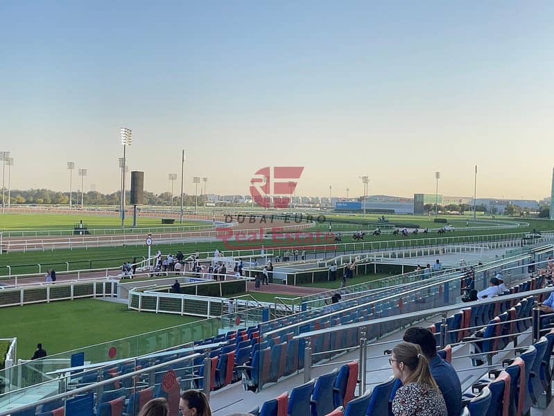 19 meydan-racecourse. jpg