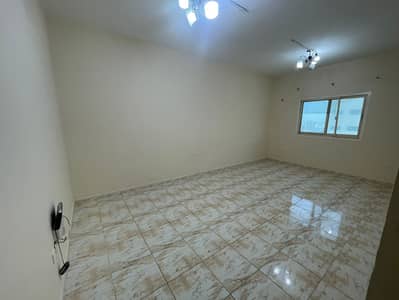 شقة 1 غرفة نوم للايجار في القاسمية، الشارقة - IMG-20250513-WA0015. jpg