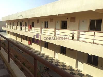 Labour Camp for Rent in Al Quoz, Dubai - eb9a28aa-f4d9-11ef-9d37-62ac5407e975. jpg