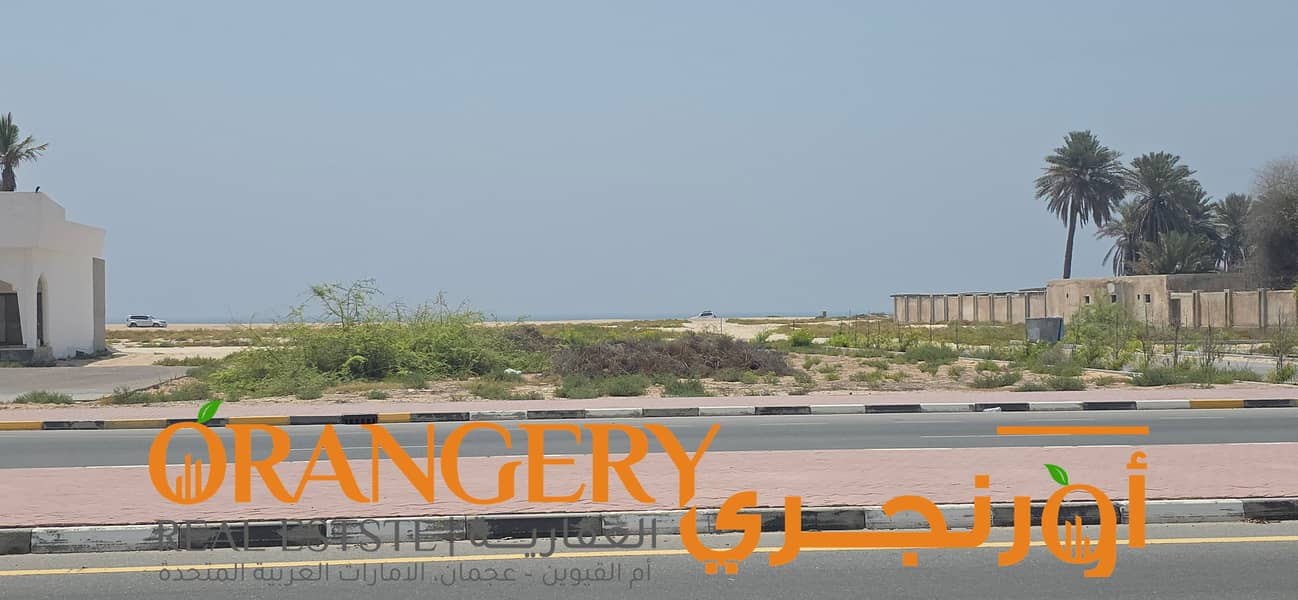 19 Beach_19. jpg