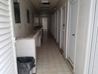 Labour Camp for Rent in Industrial Area, Sharjah - PHOTO-2025-04-23-13-43-55 2. jpg
