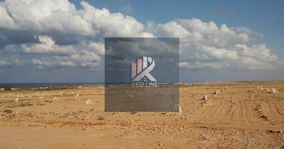 Industrial Land for Sale in Al Sajaa Industrial, Sharjah - تخصيص-أراضي. jpg