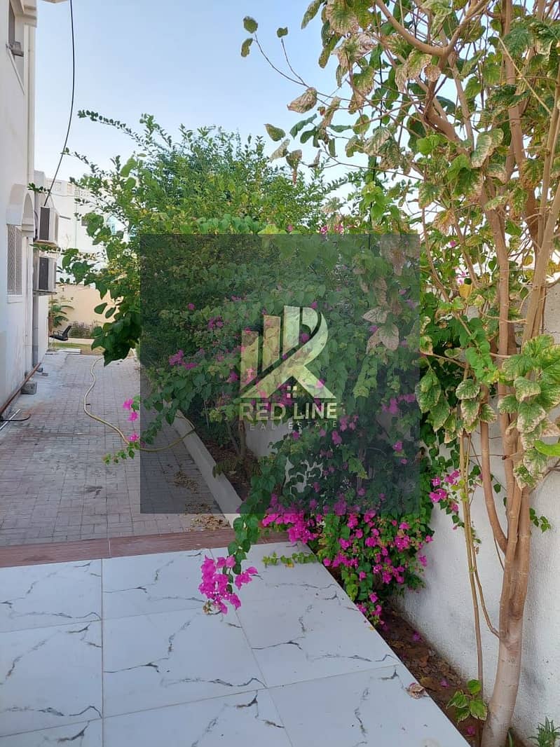 2 صورة واتساب بتاريخ 2025-05-06 في 00.15. 21_20582615. jpg