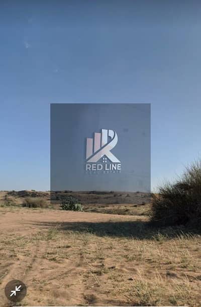 ارض سكنية  للبيع في البليدة، الشارقة - صورة واتساب بتاريخ 2025-05-10 في 02.28. 58_06e1cca6. jpg