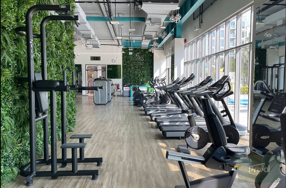 13 GYM1. png