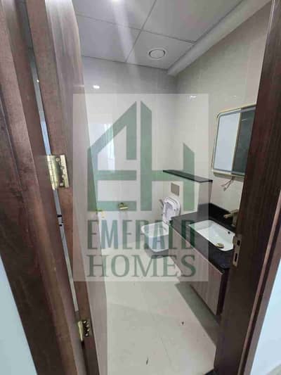 1 Bedroom Apartment for Rent in Liwan, Dubai - 1000224181. jpg