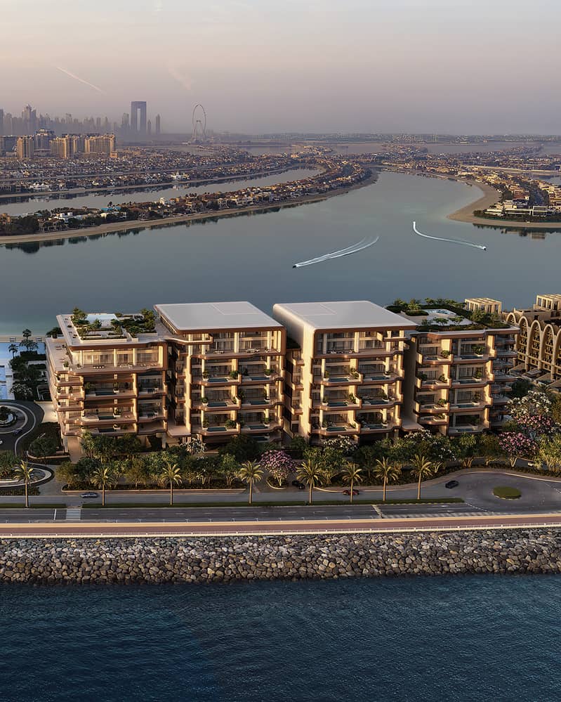 6 The Alba Palm Views. jpg