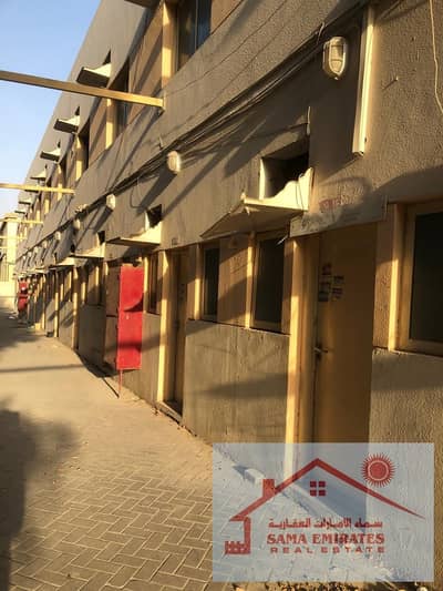 سكن عمال  للايجار في الجرف، عجمان - IMG-20250522-WA0032. jpg