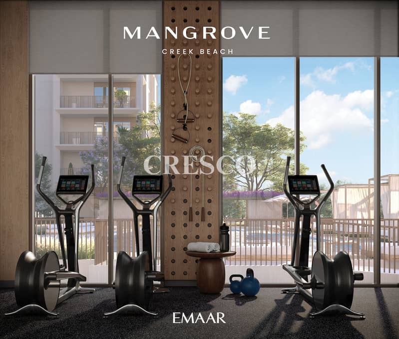 8 MANGROVE_BRANDED_RENDER8 (1). jpg