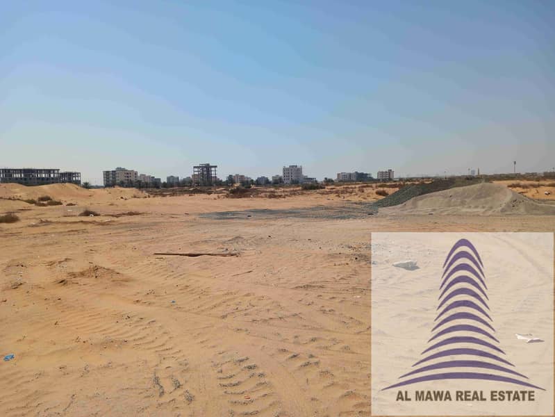 2 ٢٠٢٥٠٣١٩_١٣١٤٠٢. jpg