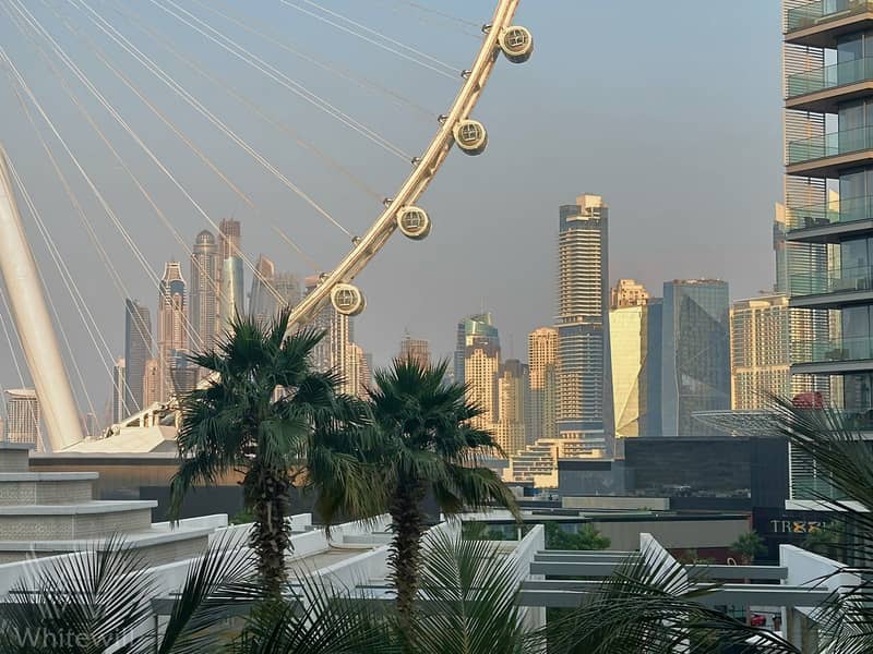 20 View from terrace . JPG