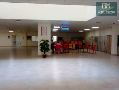 Labour Camp for Rent in Dubai Investment Park (DIP), Dubai - WhatsApp Image 2018-12-12 at 16.17. 05. jpeg
