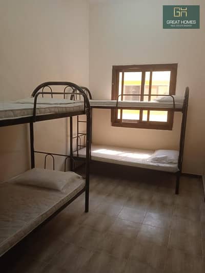 Labour Camp for Rent in Dubai Investment Park (DIP), Dubai - WhatsApp Image 2024-01-05 at 9.19. 18 AM (2). jpeg