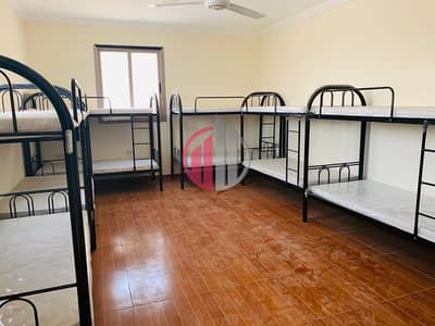 Labour Camp for Rent in Mussafah, Abu Dhabi - WhatsApp Image 2024-03-28 at 11.55. 28 AM. jpeg
