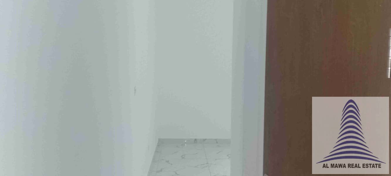 7 1000081364. jpg
